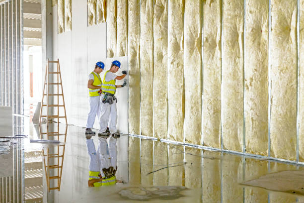 Types of Insulation We Offer in Summerville, GA